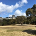 実際訪問したユーザーが直接撮影して投稿した明石公園公園明石公園の写真