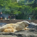 実際訪問したユーザーが直接撮影して投稿した東旭川町倉沼動物園旭川市旭山動物園の写真