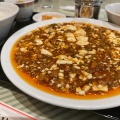 実際訪問したユーザーが直接撮影して投稿した舟町四川料理中国料理 峨嵋山の写真