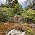 実際訪問したユーザーが直接撮影して投稿した中島鳥羽離宮町神社城南宮の写真