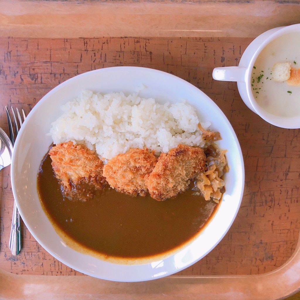 ユーザーが投稿した新ヒレカツカレーの写真 - 実際訪問したユーザーが直接撮影して投稿した須山パスタコンフィティリアイアスの写真