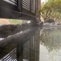 実際訪問したユーザーが直接撮影して投稿した仙石原温泉旅館仙石原品の木一の湯の写真