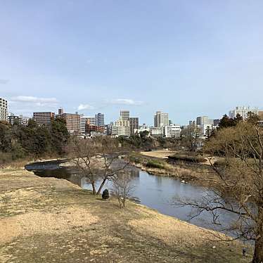 実際訪問したユーザーが直接撮影して投稿した桜ケ岡公園河川広瀬川の写真