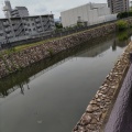 実際訪問したユーザーが直接撮影して投稿した河川飛鳥川の写真