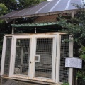 実際訪問したユーザーが直接撮影して投稿した宮本町神社子神社の写真