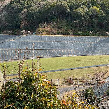 実際訪問したユーザーが直接撮影して投稿した磯部町穴川公園芝桜公園の写真