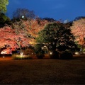 実際訪問したユーザーが直接撮影して投稿した本駒込公園六義公園の写真