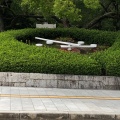 実際訪問したユーザーが直接撮影して投稿した中島町庭園花時計の写真