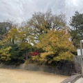 実際訪問したユーザーが直接撮影して投稿した伊丹公園有岡城跡公園の写真