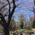 実際訪問したユーザーが直接撮影して投稿した西元町公園黒鐘公園の写真