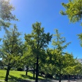 実際訪問したユーザーが直接撮影して投稿した水前寺公園神水町公園の写真