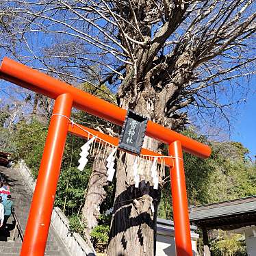 実際訪問したユーザーが直接撮影して投稿した追浜本町神社雷神社の写真