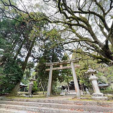 実際訪問したユーザーが直接撮影して投稿した八幡馬場神社今八幡宮の写真