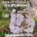 実際訪問したユーザーが直接撮影して投稿した舘山寺町植物園 / 樹木園はままつフラワーパークの写真