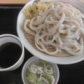 うどん - 実際訪問したユーザーが直接撮影して投稿した南平うどん田村製麺所の写真のメニュー情報