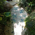 実際訪問したユーザーが直接撮影して投稿した大林町庭園ガーデニングミュージアム 花遊庭の写真