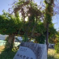 実際訪問したユーザーが直接撮影して投稿した神祇官町公園神祇宮公園の写真