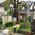 実際訪問したユーザーが直接撮影して投稿した北田辺公園北田辺4公園の写真