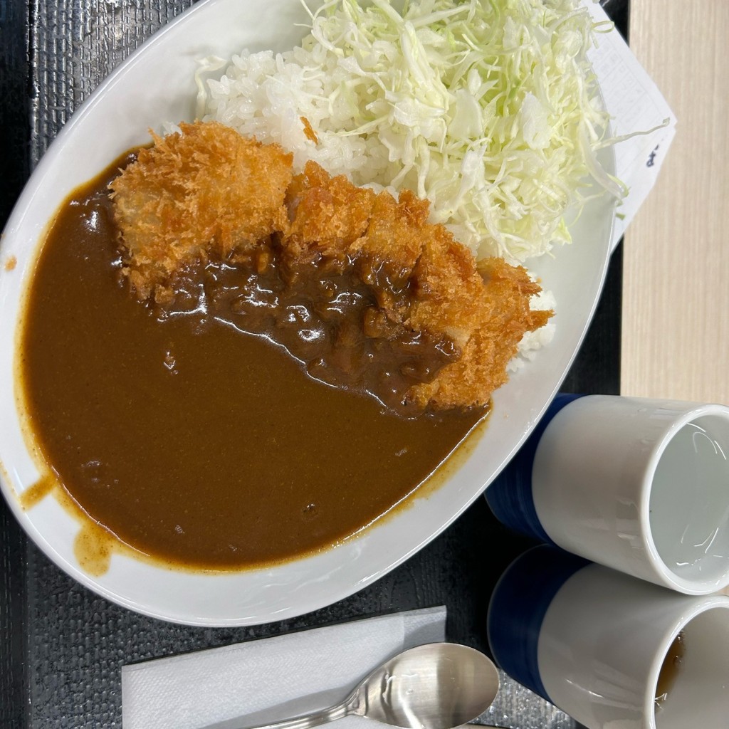 ユーザーが投稿したカツカレー(竹)の写真 - 実際訪問したユーザーが直接撮影して投稿した南鳩ヶ谷とんかつかつや 川口南鳩ヶ谷店の写真