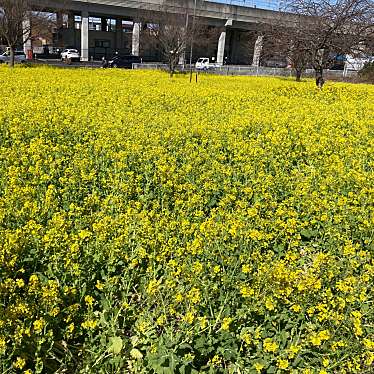 川和町駅 (横浜市営地下鉄グリーンライン)のundefinedに実際訪問訪問したユーザーunknownさんが新しく投稿した新着口コミの写真