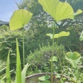 実際訪問したユーザーが直接撮影して投稿した長谷寺光則寺の写真