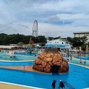 実際訪問したユーザーが直接撮影して投稿した犬山プール日本モンキーパーク 水の楽園モンプルの写真