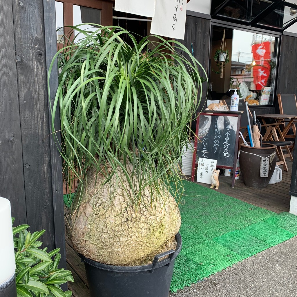 実際訪問したユーザーが直接撮影して投稿した西与賀町大字厘外ラーメン / つけ麺らぁ麺 田中商店の写真