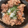 唐揚げ丼 - 実際訪問したユーザーが直接撮影して投稿した町屋居酒屋鶏居酒屋でかのれんの写真のメニュー情報