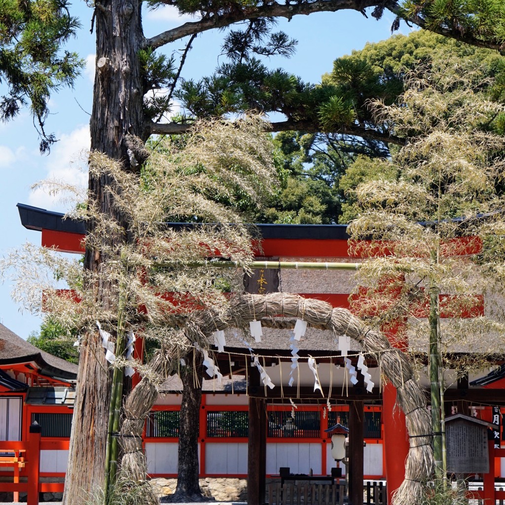 実際訪問したユーザーが直接撮影して投稿した吉田神楽岡町神社吉田神社の写真