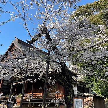 靖国神社のundefinedに実際訪問訪問したユーザーunknownさんが新しく投稿した新着口コミの写真