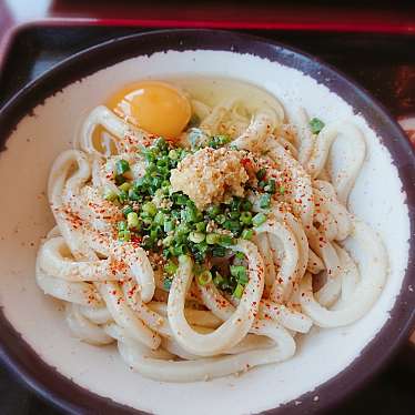 実際訪問したユーザーが直接撮影して投稿した七栄うどん讃岐うどん あからの写真