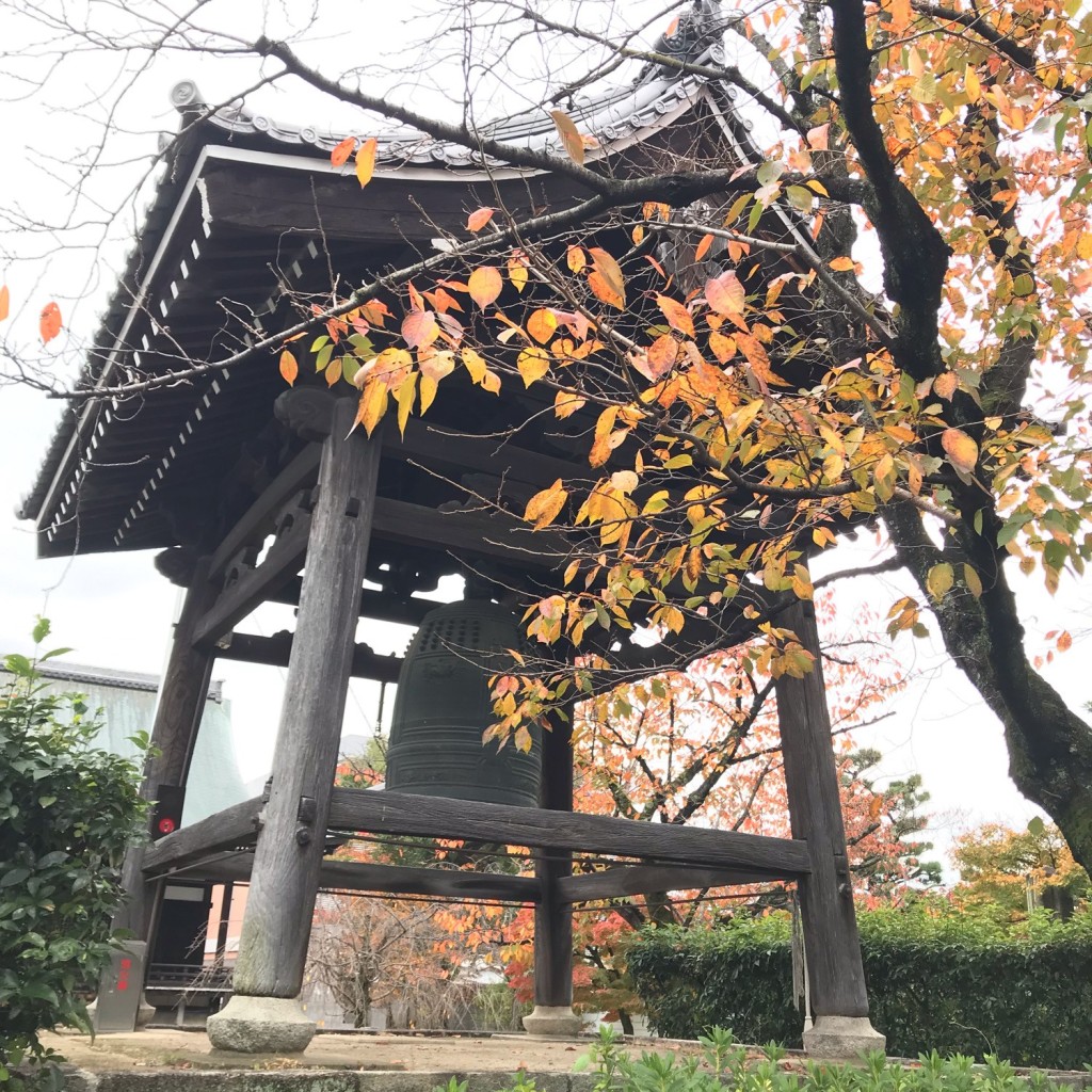 タエゾーさんが投稿した妙顕寺前町寺のお店妙顕寺/ミョウケンジの写真