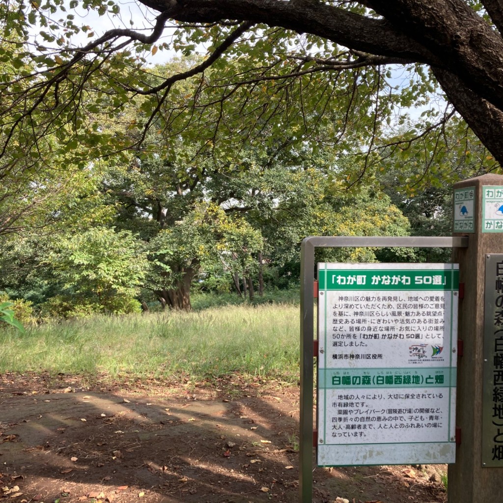 実際訪問したユーザーが直接撮影して投稿した白幡西町公園白幡の森の写真