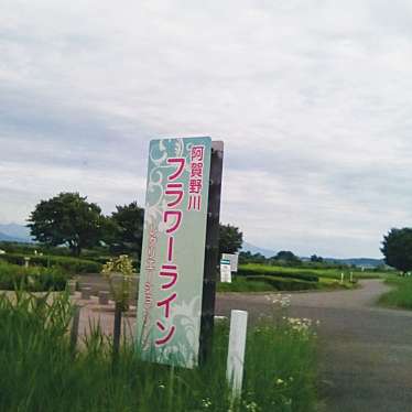 実際訪問したユーザーが直接撮影して投稿した沢海公園阿賀野川フラワーラインの写真