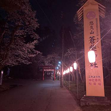 YUN722さんが投稿した悠久町神社のお店蒼柴神社/アオシジンジャの写真