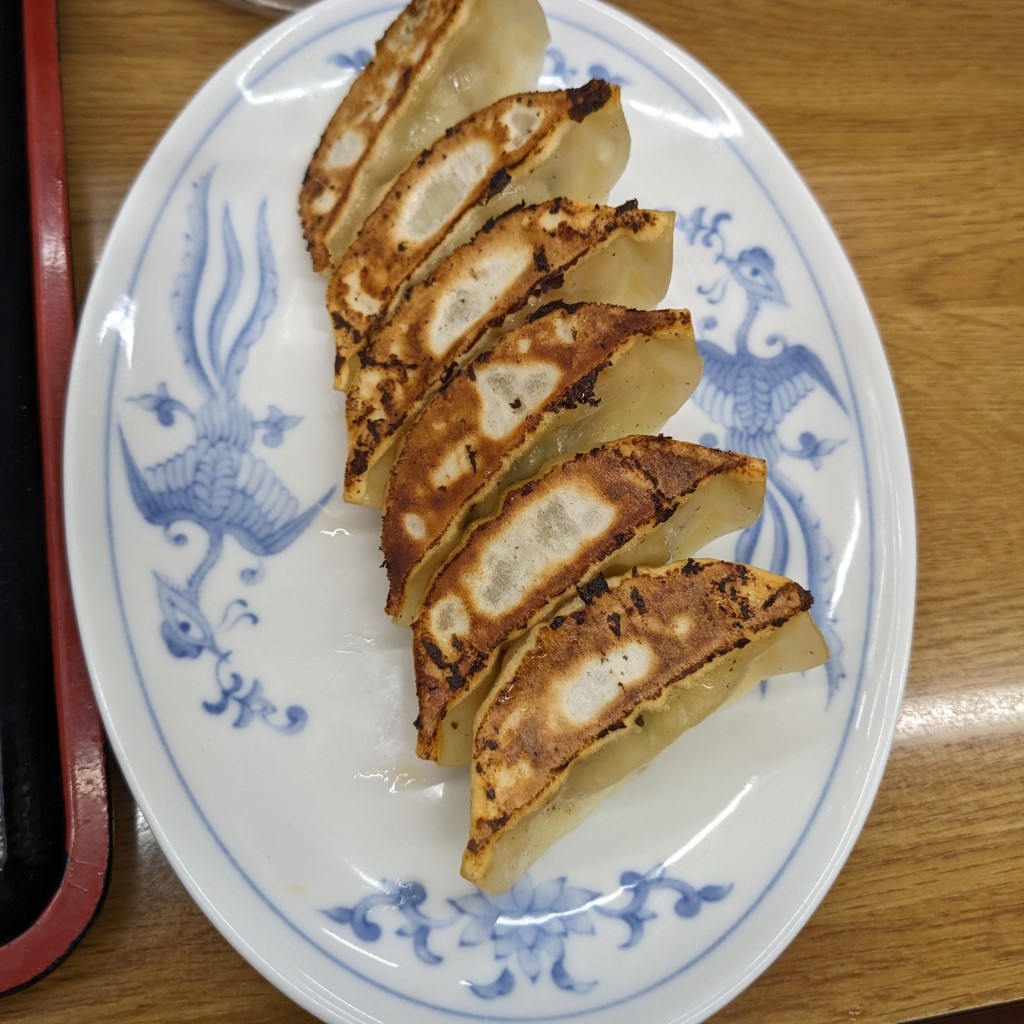 ユーザーが投稿した100円餃子の写真 - 実際訪問したユーザーが直接撮影して投稿した西新宿中華料理福しん 新宿小滝橋店の写真