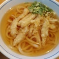 ごぼう天うどん - 実際訪問したユーザーが直接撮影して投稿した武蔵肉料理ウエスト 二日市店の写真のメニュー情報