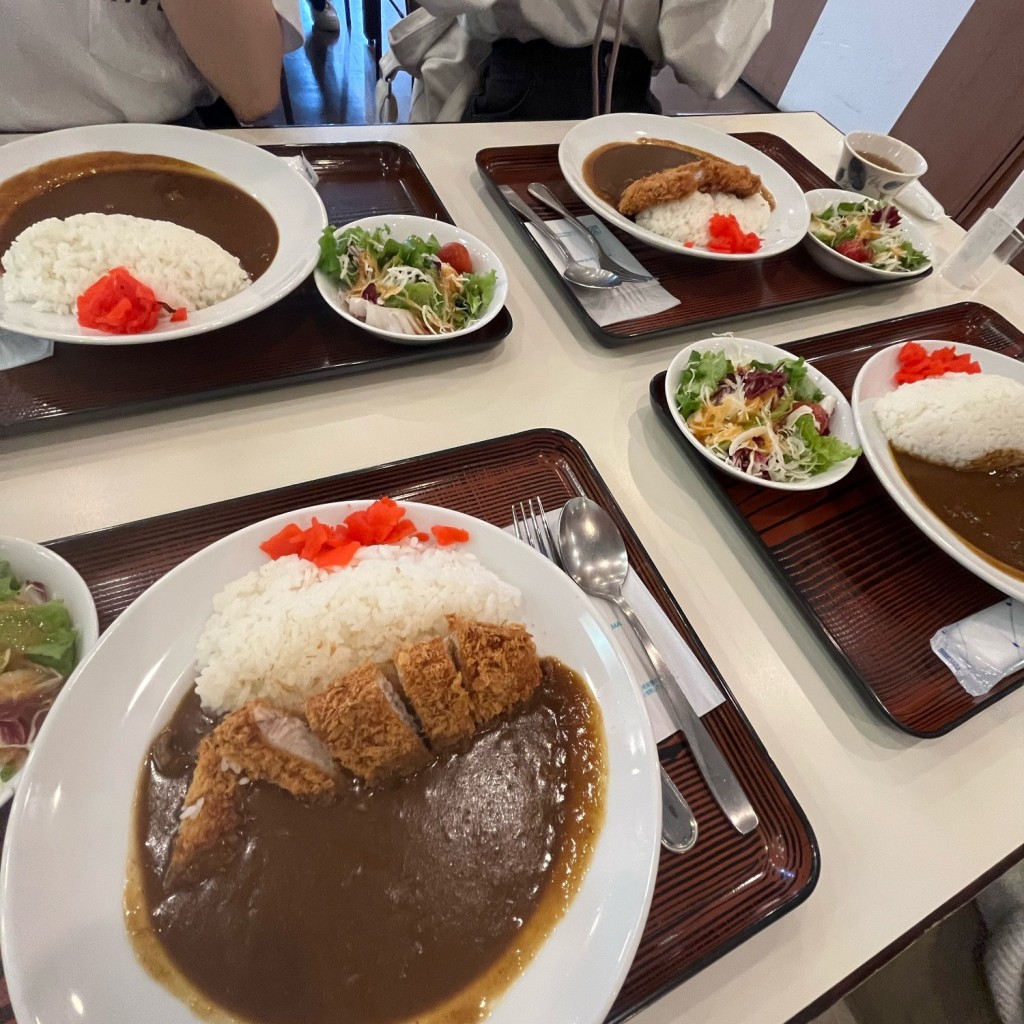 ユーザーが投稿したアルペンカツカレーの写真 - 実際訪問したユーザーが直接撮影して投稿した芦峅寺アイスクリーム室堂ターミナル 味覚コーナーの写真