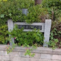 実際訪問したユーザーが直接撮影して投稿した中野島公園中河原公園の写真