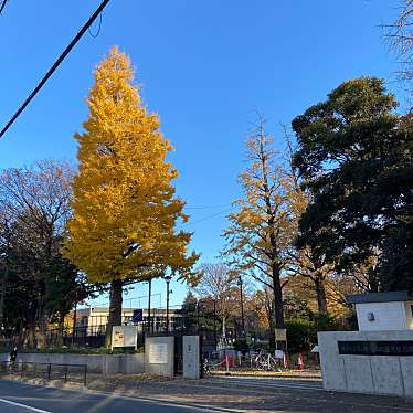石神井松の風文化公園のundefinedに実際訪問訪問したユーザーunknownさんが新しく投稿した新着口コミの写真