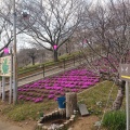 実際訪問したユーザーが直接撮影して投稿した静公園静峰ふるさと公園の写真