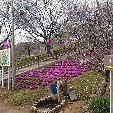 実際訪問したユーザーが直接撮影して投稿した静公園静峰ふるさと公園の写真