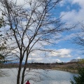 実際訪問したユーザーが直接撮影して投稿した東山湖沼 / 池東山湖の写真