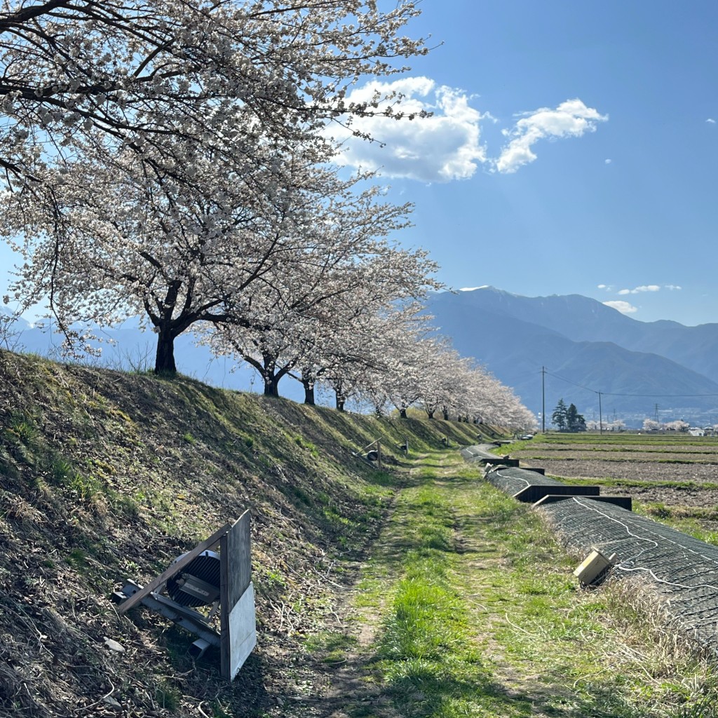 実際訪問したユーザーが直接撮影して投稿した美篶公園三峰川レストパークの写真