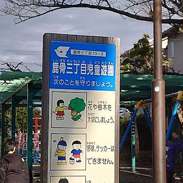 実際訪問したユーザーが直接撮影して投稿した鹿骨公園鹿骨3児童遊園の写真