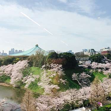 実際訪問したユーザーが直接撮影して投稿した北の丸公園桜の名所北ノ丸公園の桜の写真