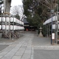 実際訪問したユーザーが直接撮影して投稿した宇治神社縣神社の写真