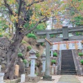 実際訪問したユーザーが直接撮影して投稿した師岡町神社師岡熊野神社の写真