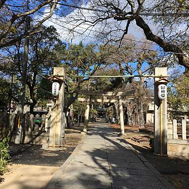 ぶどううり・くすこさんが投稿した上鳴尾町神社のお店八幡神社/ハチマンジンジャの写真