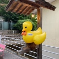 実際訪問したユーザーが直接撮影して投稿した小口日帰り温泉南平台温泉 観音湯の写真